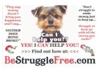 Start Your Online Business Today & Unlock Unlimited Income Potential!