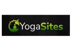 The Internet Income System (IIS) is a fully automated, done-for-you affiliate marketing business